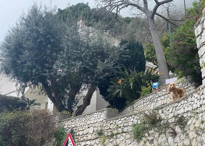 Apartament Regina Di - Vista Faraglioni